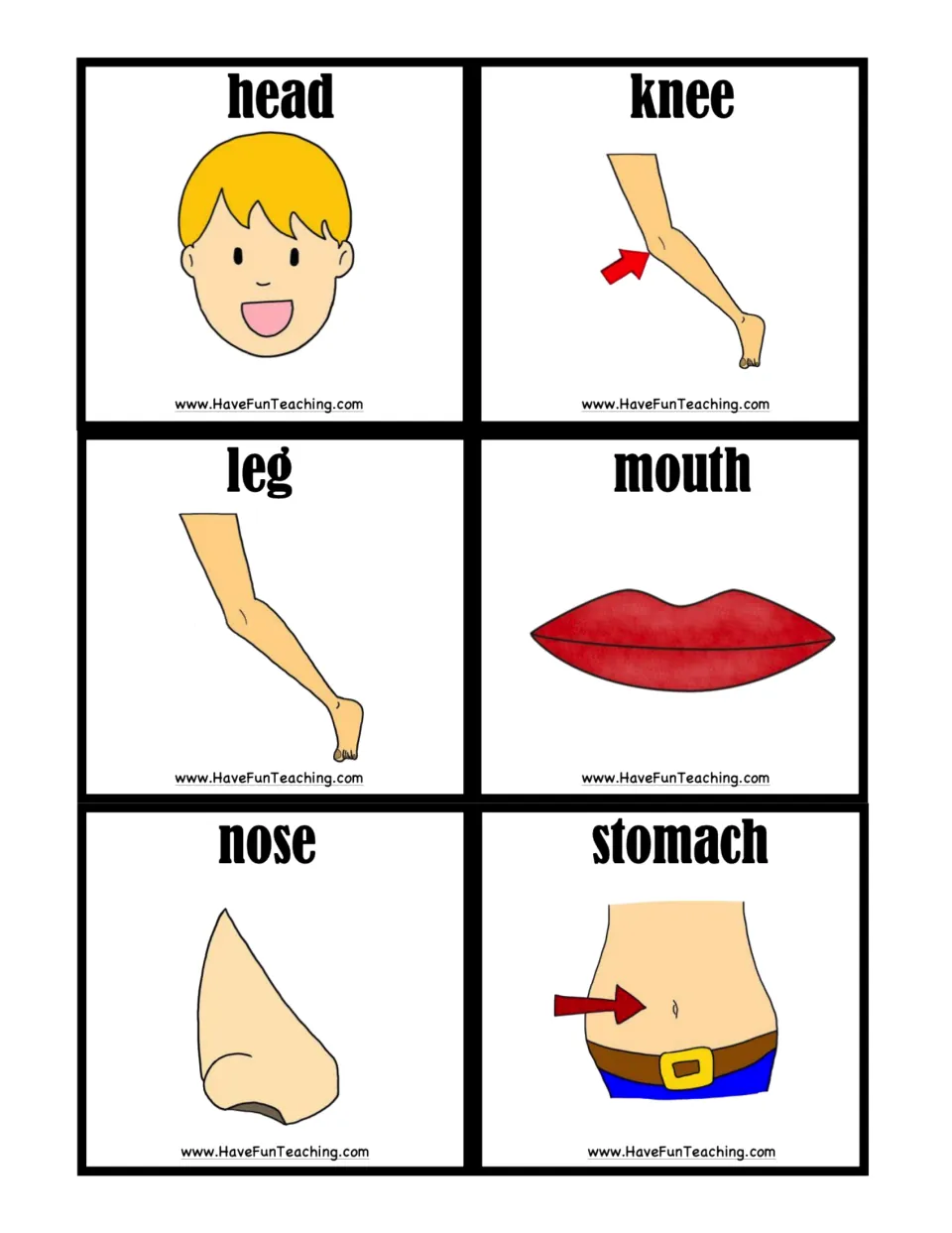 Body part picture cards to cut out: head, knee, leg, mouth, nose and stomach, each word shown with its drawing