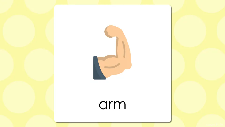 Body parts vocabulary presentation slide showing a bent arm with a flexed muscle and the word 'arm' below