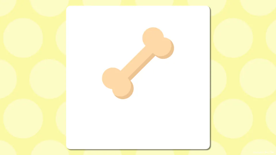 Body parts vocabulary presentation slide showing a single bone before the vocabulary word is displayed