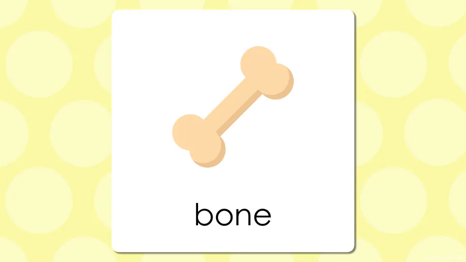 Body parts vocabulary presentation slide showing a single bone illustration with the word 'bone' below