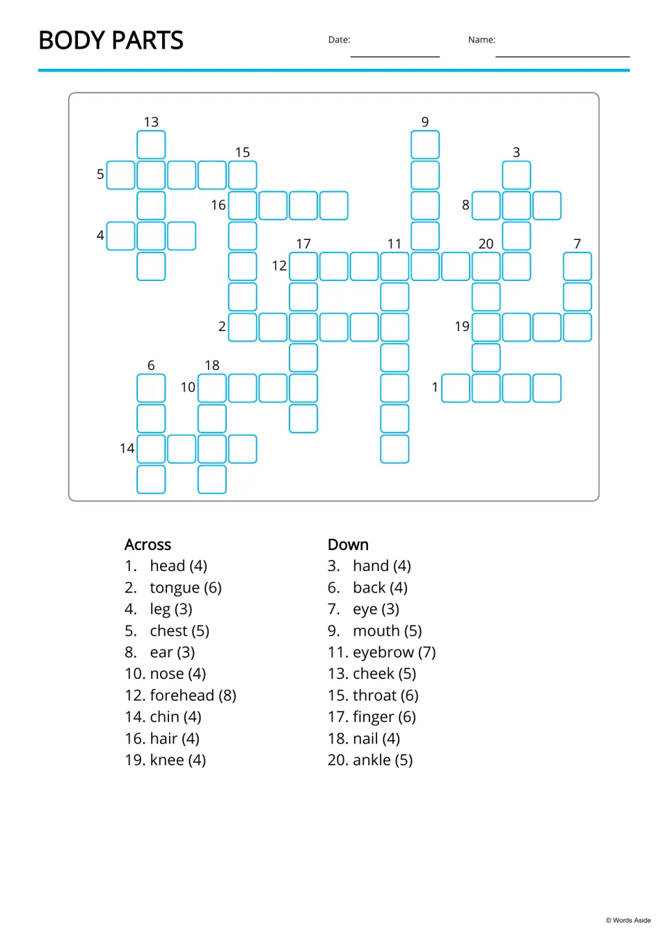 Body parts crossword: students fill in 20 words from Across and Down clues such as head (4), tongue (6) and forehead (8)
