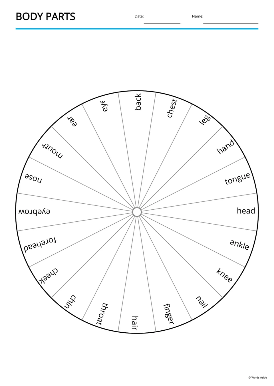 Body parts word wheel showing all 20 words, including eyebrow, forehead, tongue and ankle, printed around a circle