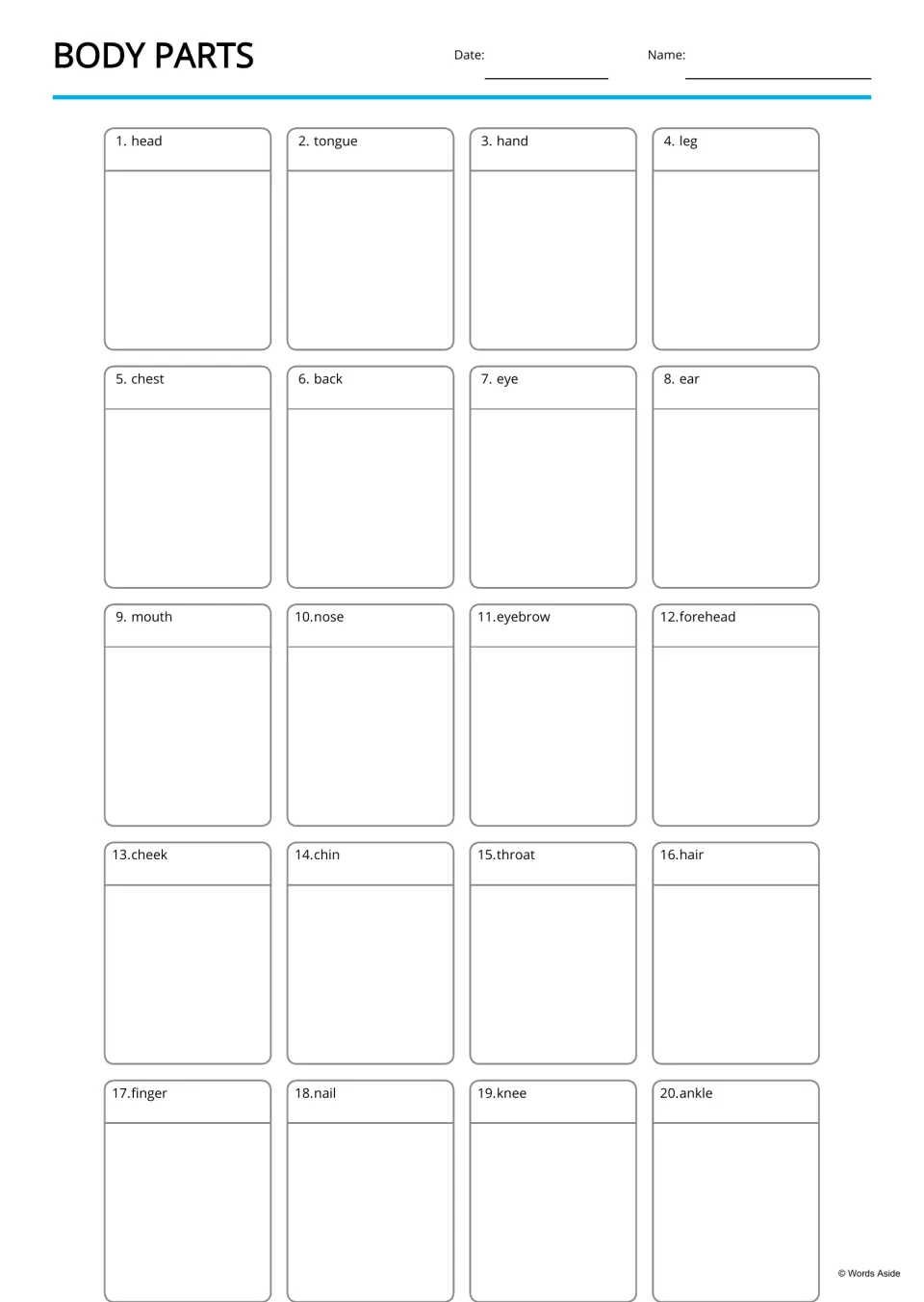 Body parts drawing page: students draw a picture under each of 20 labeled words, from head and tongue to knee and ankle