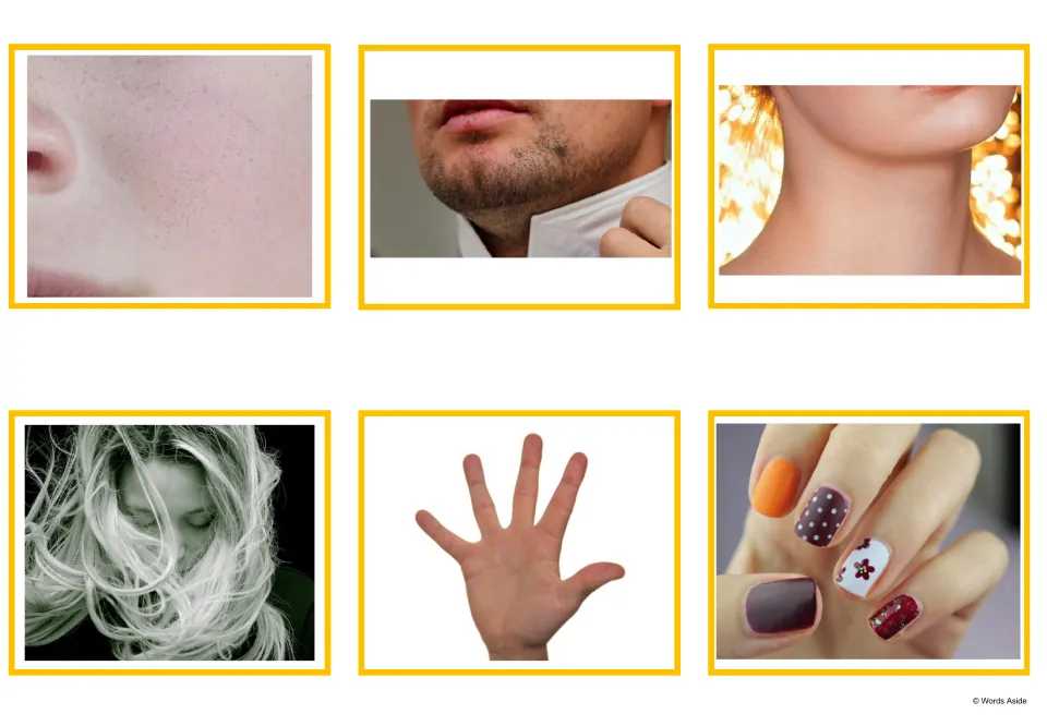 Body parts photo cards: six close-up pictures of a cheek, a chin, a throat, long hair, an open hand and painted nails