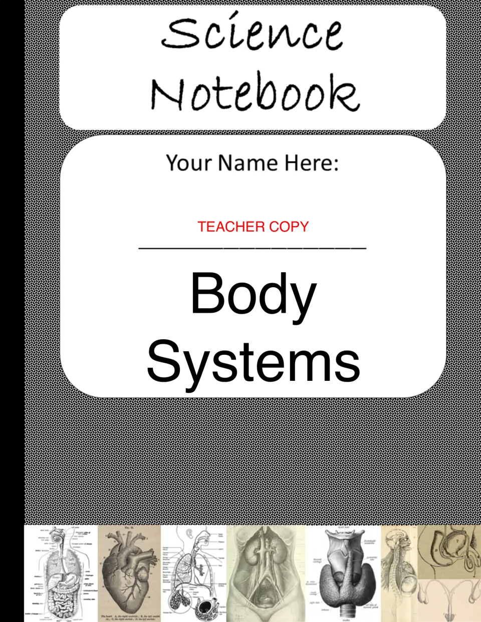 Teacher-copy cover of the Body Systems – Digital Interactive Notebook, with a space for the student's name