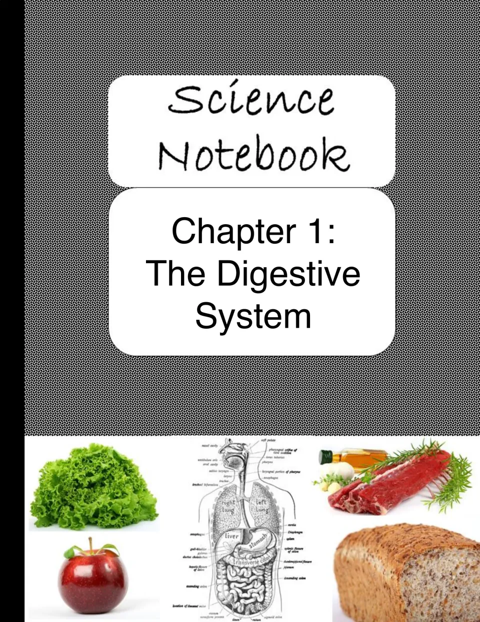 Chapter 1 cover introduces the digestive system section of the science notebook before its four activities