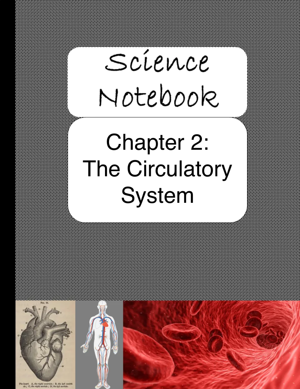 Chapter 2 cover introduces the circulatory system section of the science notebook before its five activities
