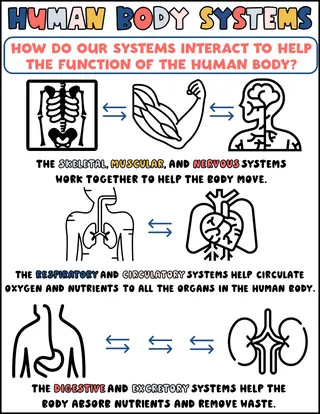 Body Systems Interactions Printable for Science – cover