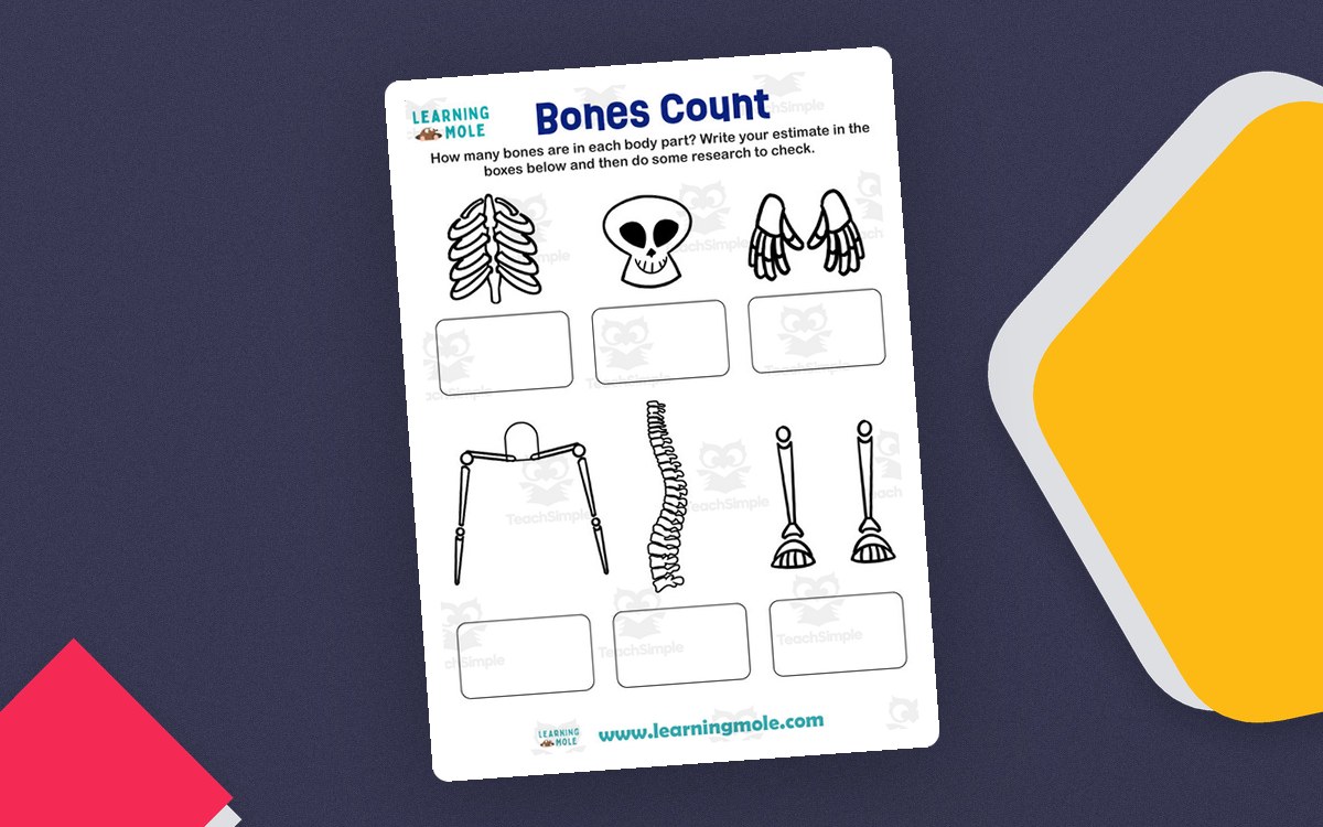 Bones Count worksheet with skeletal body-part illustrations and answer boxes
