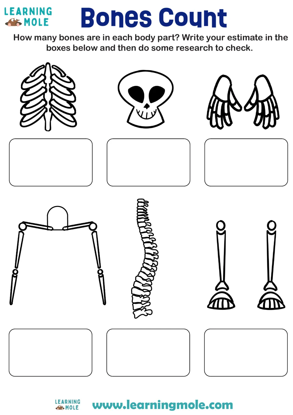 Bones Count: students estimate the bones in the rib cage, skull, hands, arms, spine and legs, then research to check