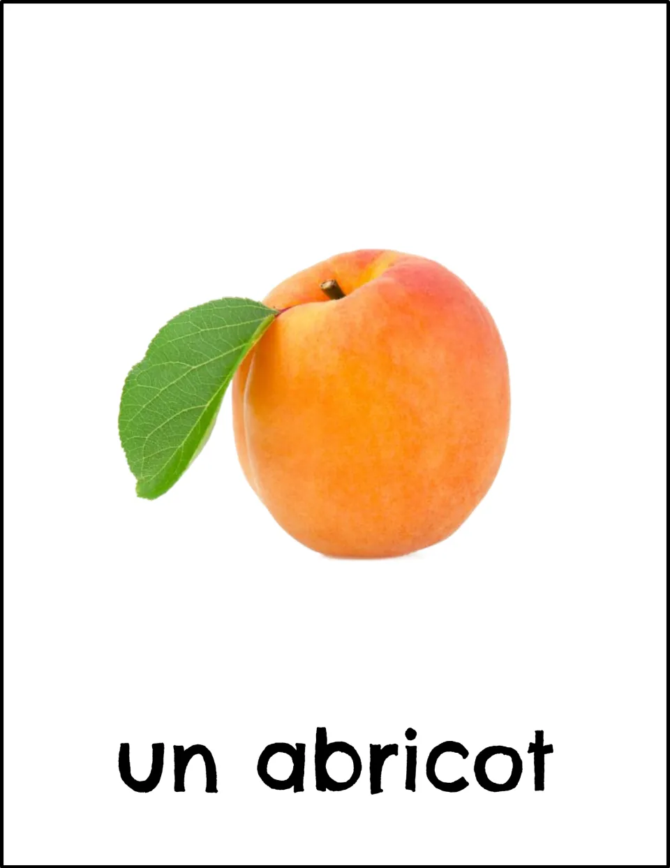 French fruit vocabulary card: an orange apricot with a green leaf labeled "un abricot" for matching the word to the image