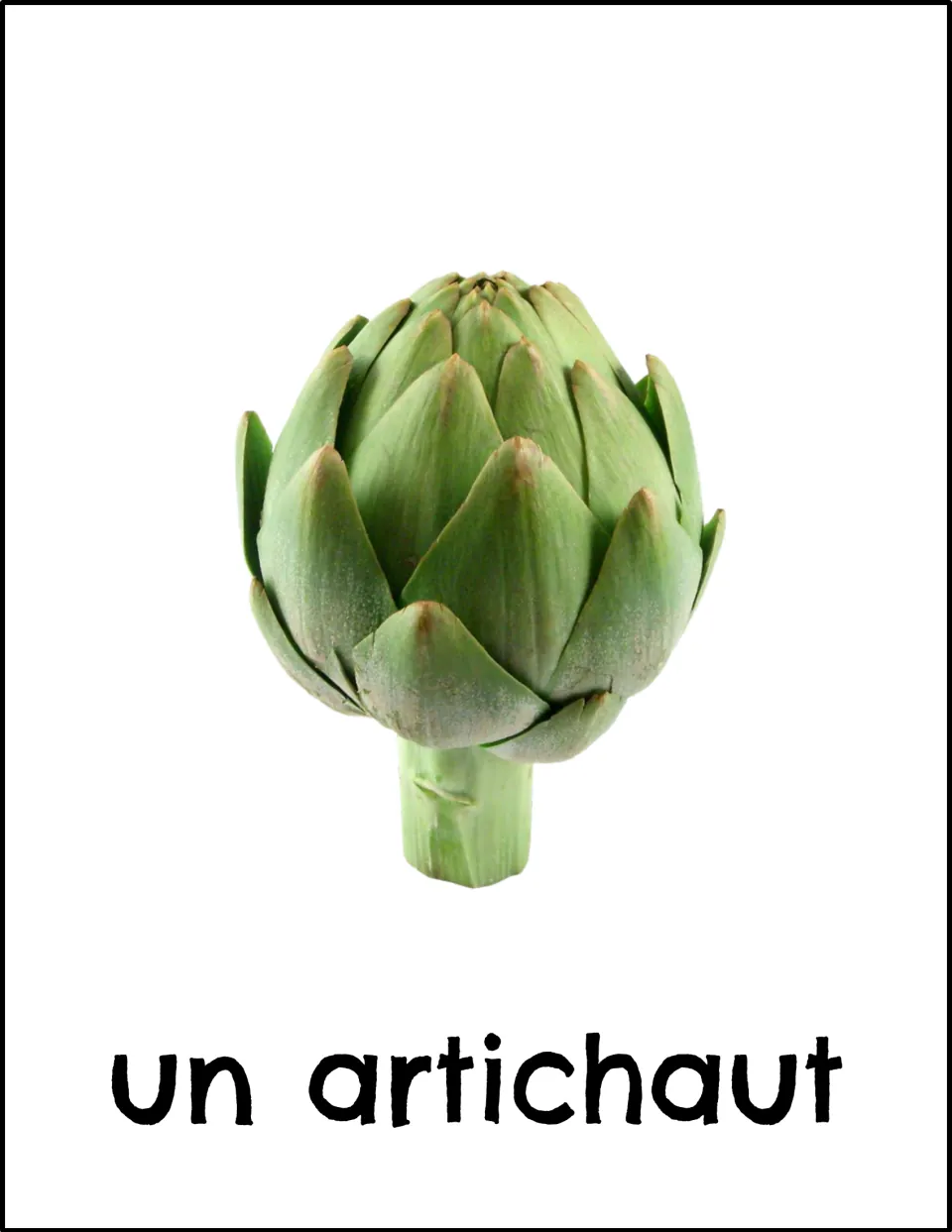 French vegetable vocabulary card: a whole green artichoke labeled "un artichaut"; students connect the noun to its photo