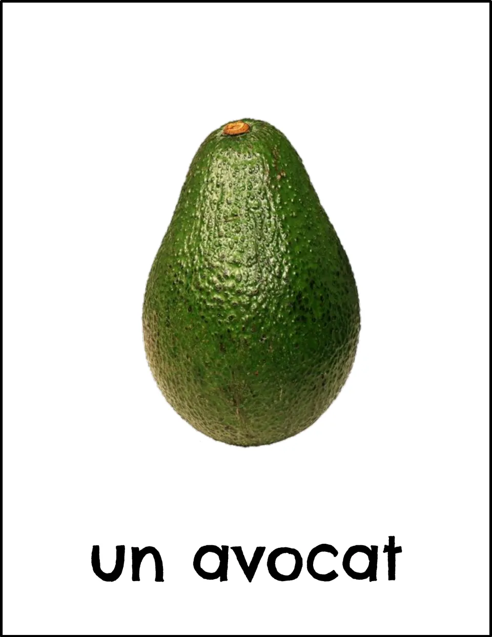 French fruit vocabulary card: a bumpy dark green avocado labeled "un avocat" for linking the spoken word to the image