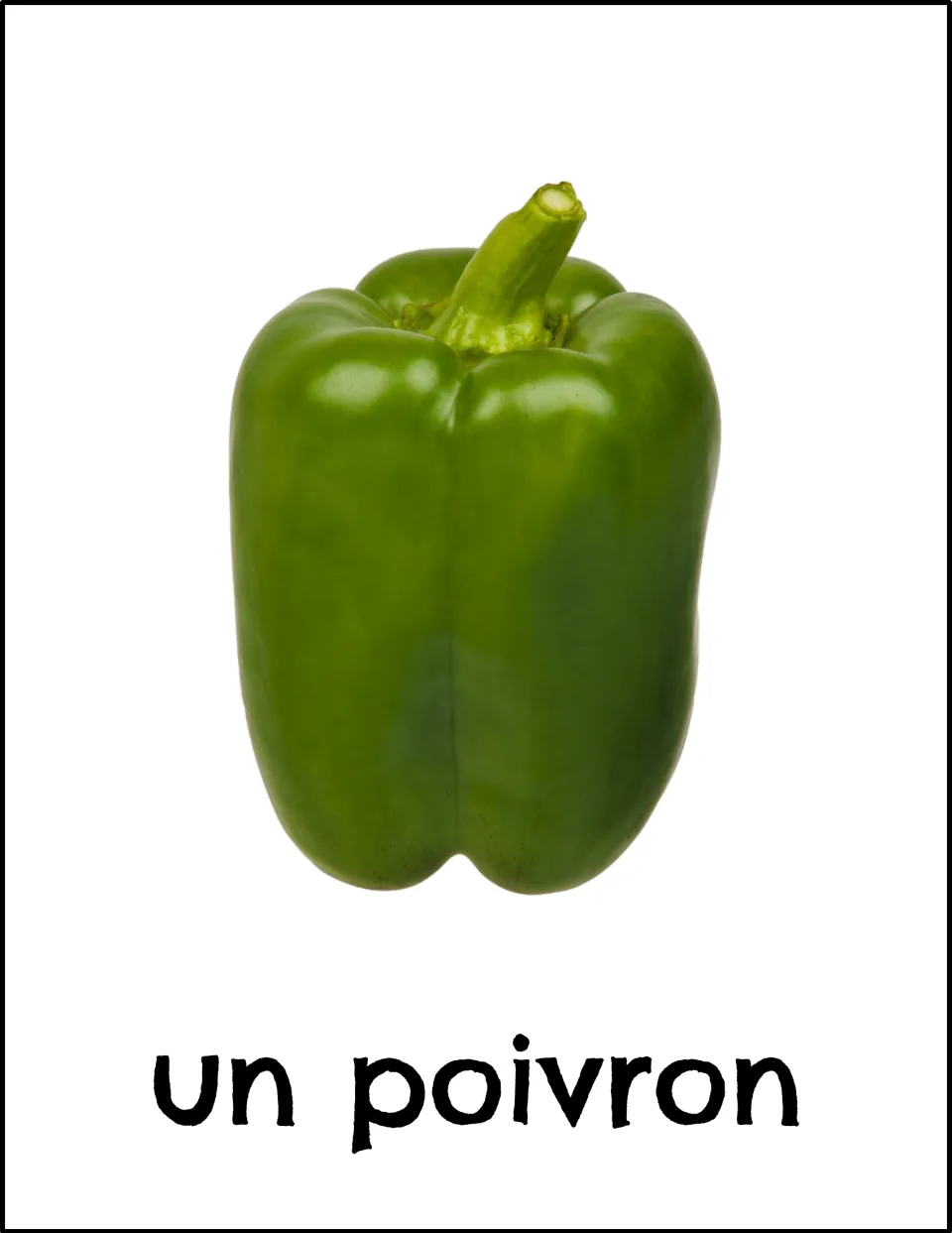 French vegetable vocabulary card: a green bell pepper with its stem labeled "un poivron" for word-to-image recognition