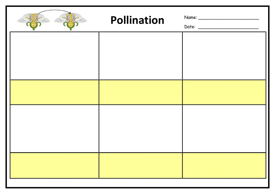 Pollination storyboard for students to illustrate pollen transport from one plant part to another.