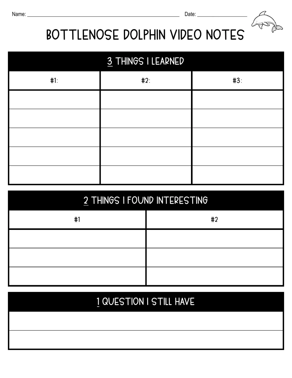 Dolphin video notes organizer prompts three things learned, two interesting things, and one remaining question