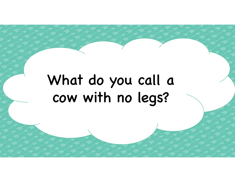 Riddle card asking what you call a cow with no legs; teams think of wordplay answers to the joke question