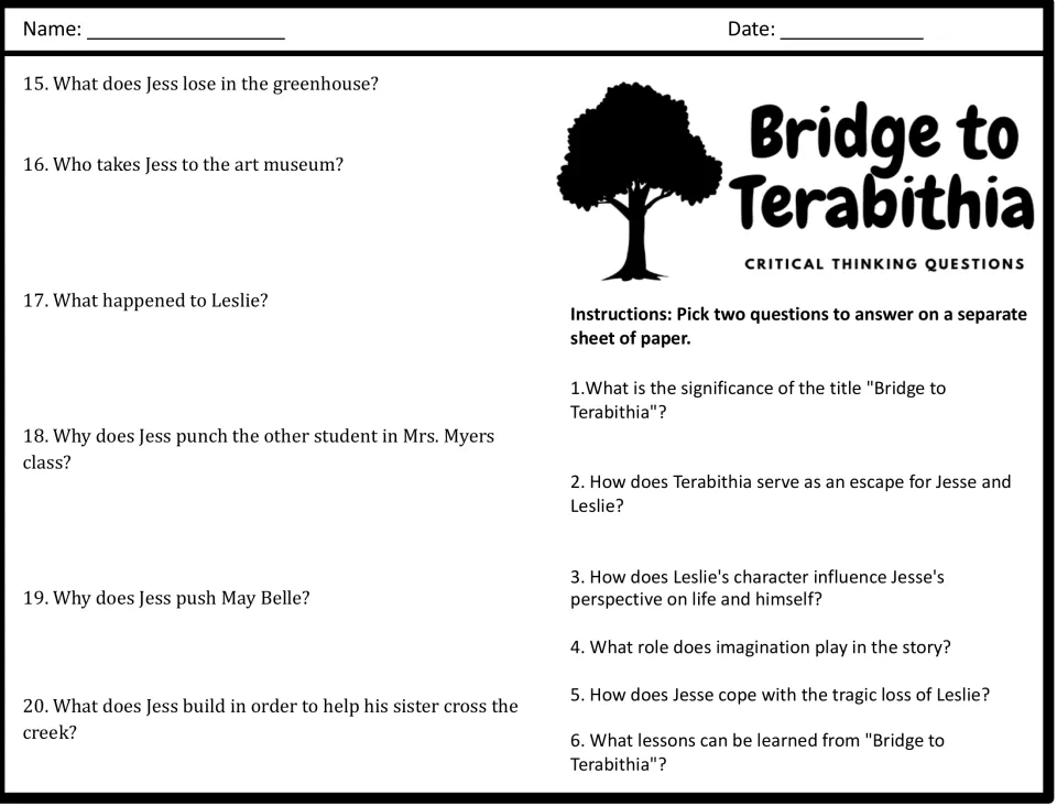 Questions 15-20 and critical thinking prompts: students pick two about theme, imagination or loss to answer separately