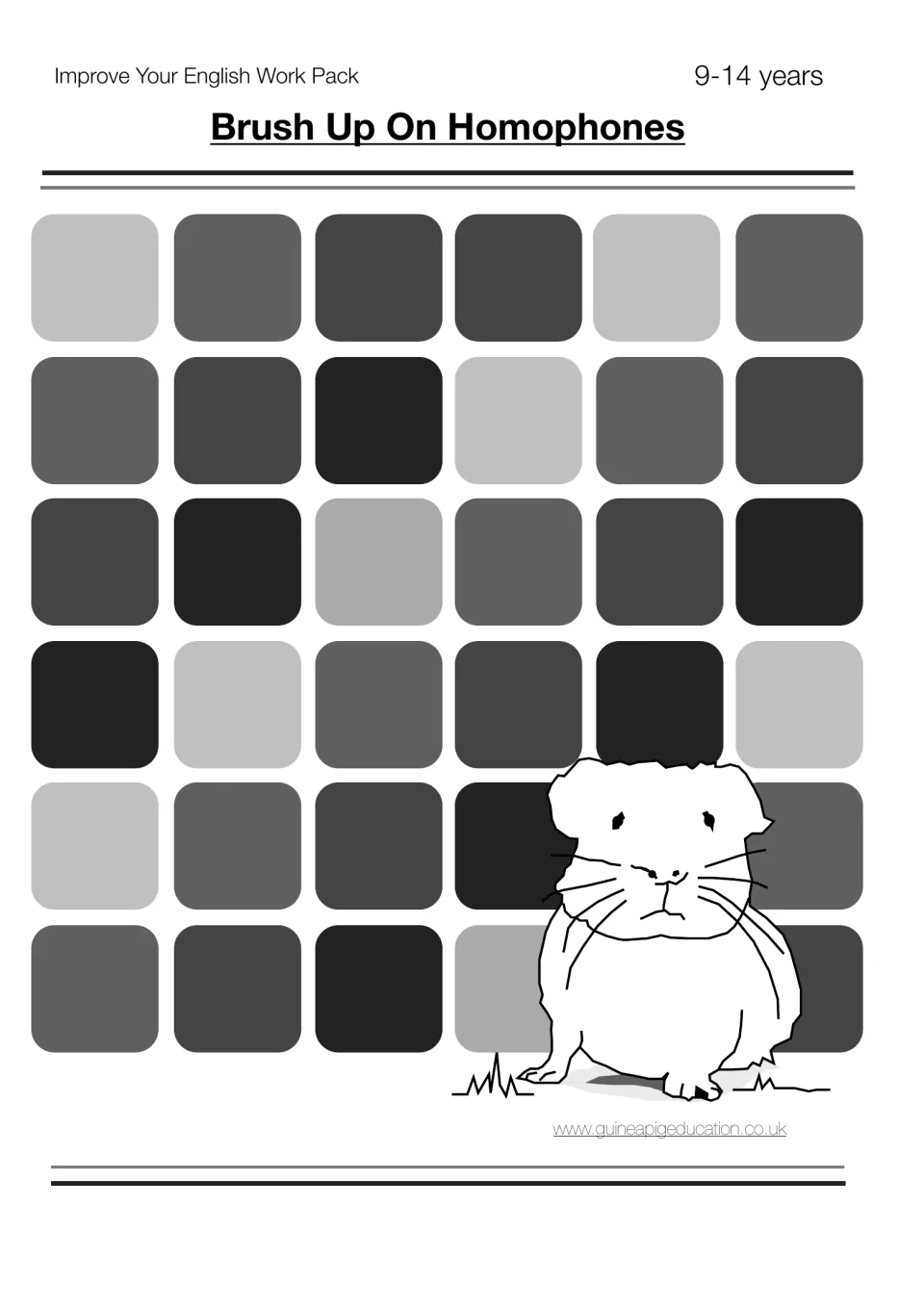Cover of Brush Up On Homophones, an Improve Your English Work Pack for 9-14 years, with a cartoon guinea pig