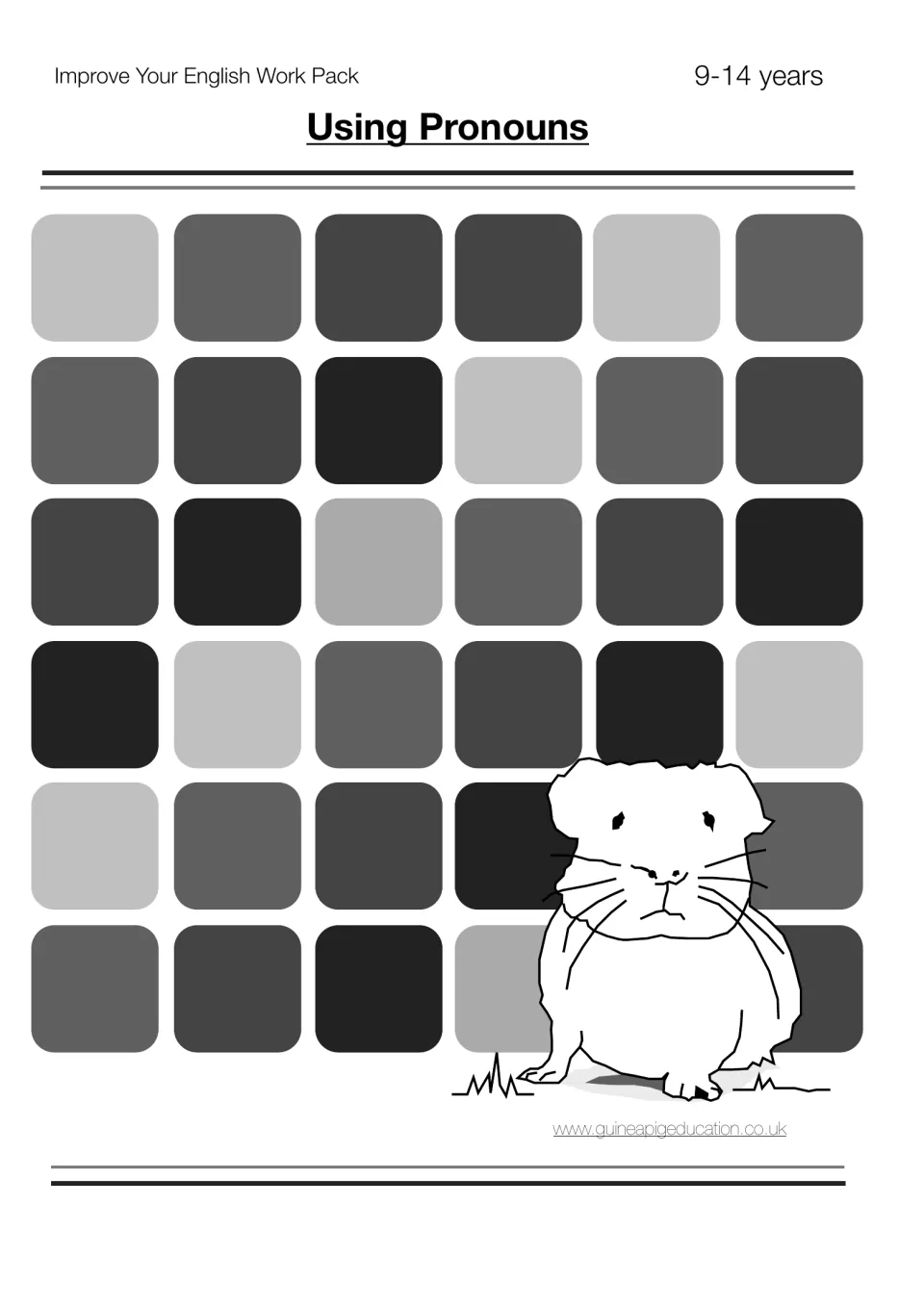 Using Pronouns cover from the Improve Your English Work Pack for 9-14 years, with a guinea pig drawing below the title