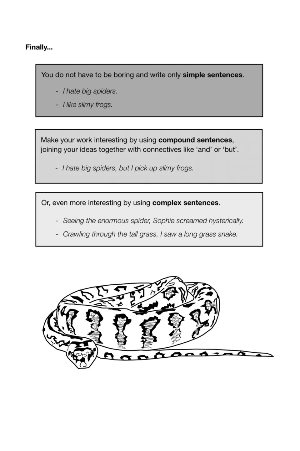 Simple, compound and complex sentences compared using examples about big spiders, slimy frogs and a long grass snake