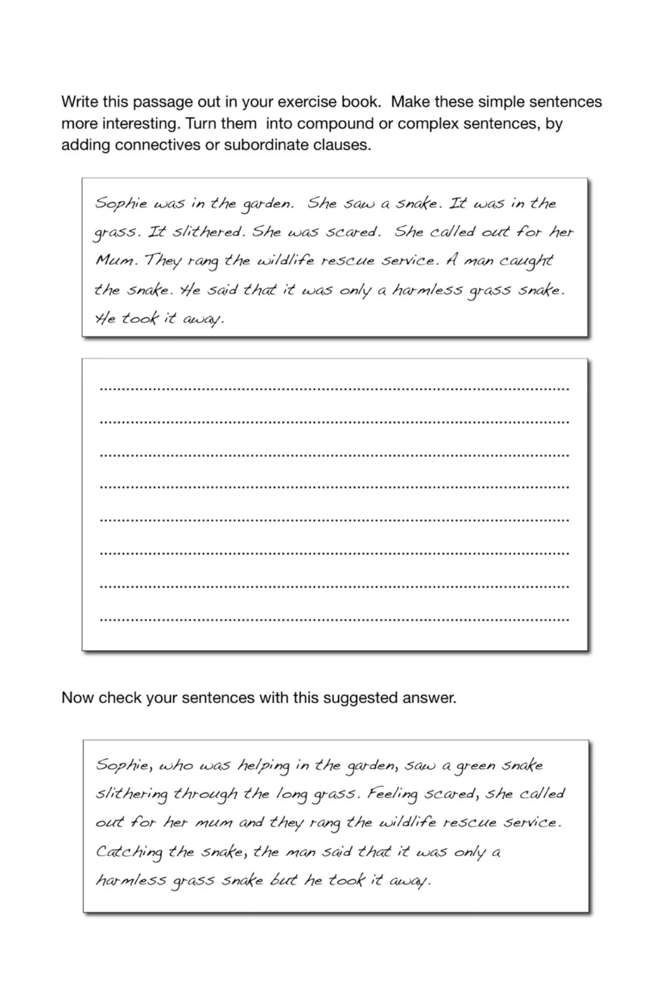 Sentence combining: students rewrite a passage about Sophie and a snake as compound or complex sentences, then self-check
