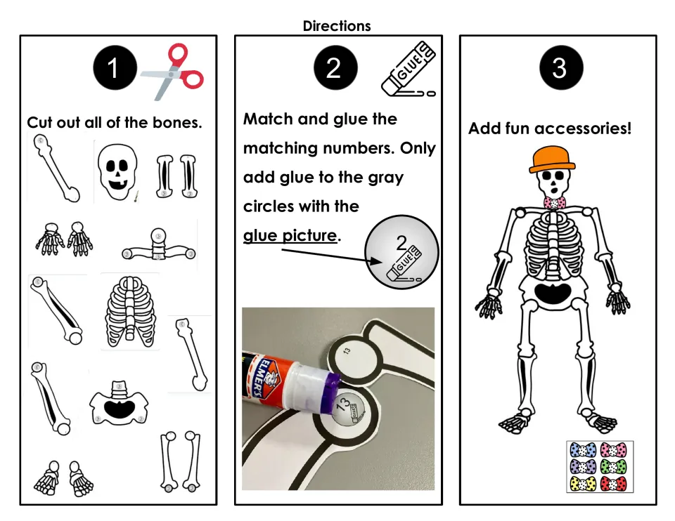 Skeleton craft directions: cut out bones, match numbers, glue only gray circles, and add fun accessories.