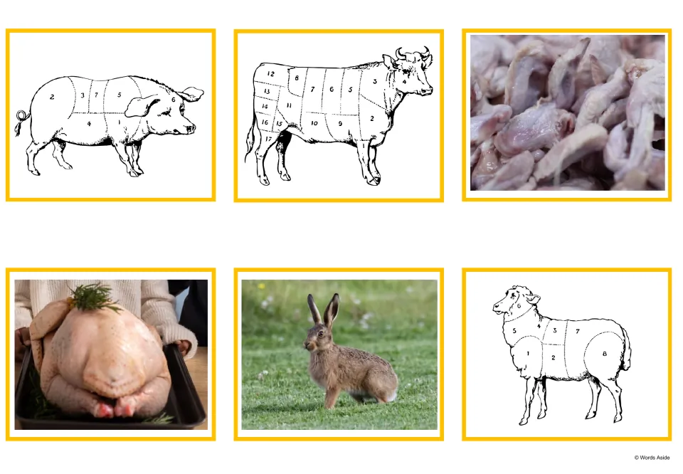Picture cards: pig, cow and sheep cut diagrams plus photos of raw poultry pieces, a whole raw turkey and a hare in grass