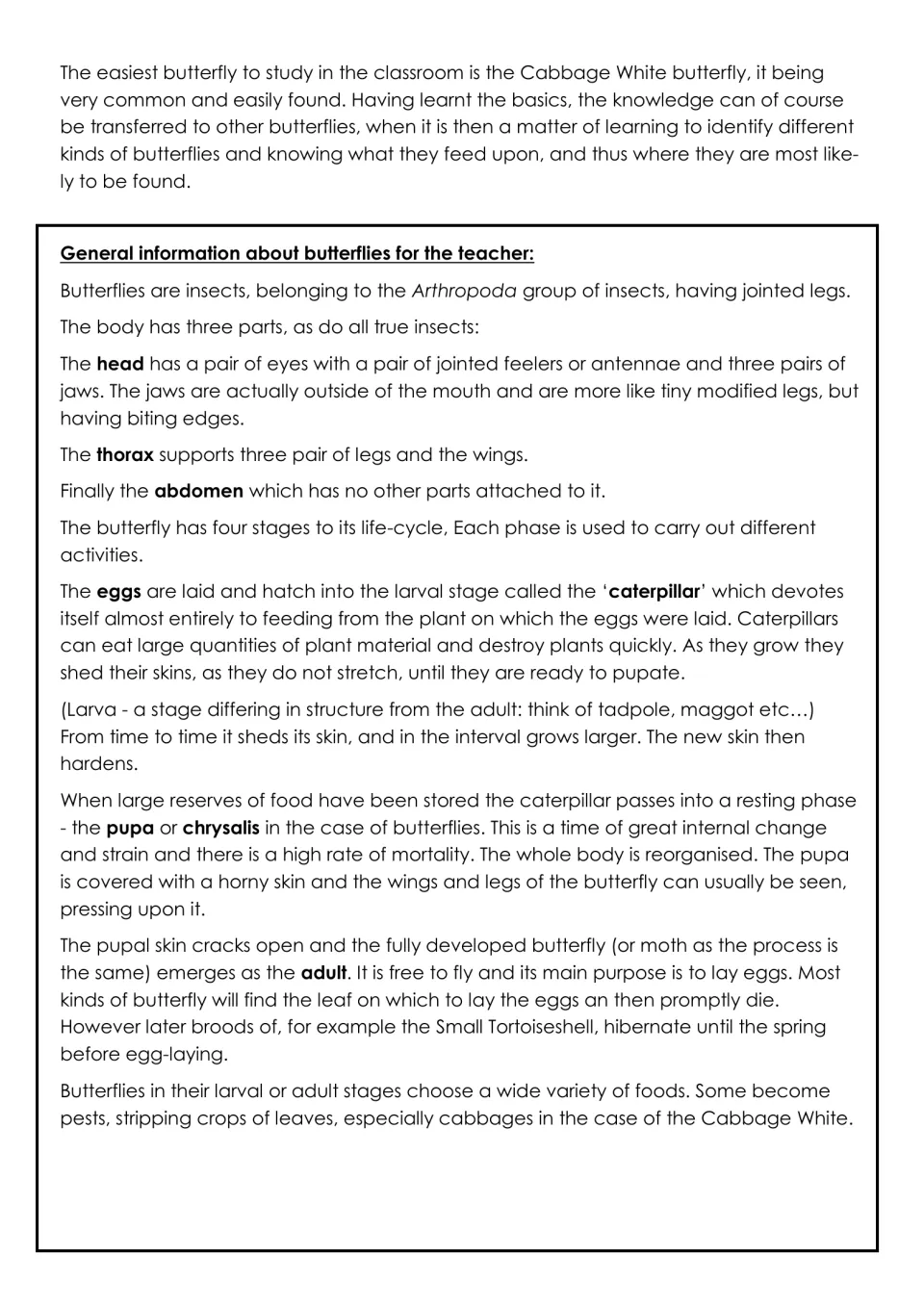 Teacher background on butterflies: head, thorax and abdomen, plus the egg, caterpillar, pupa and adult stages