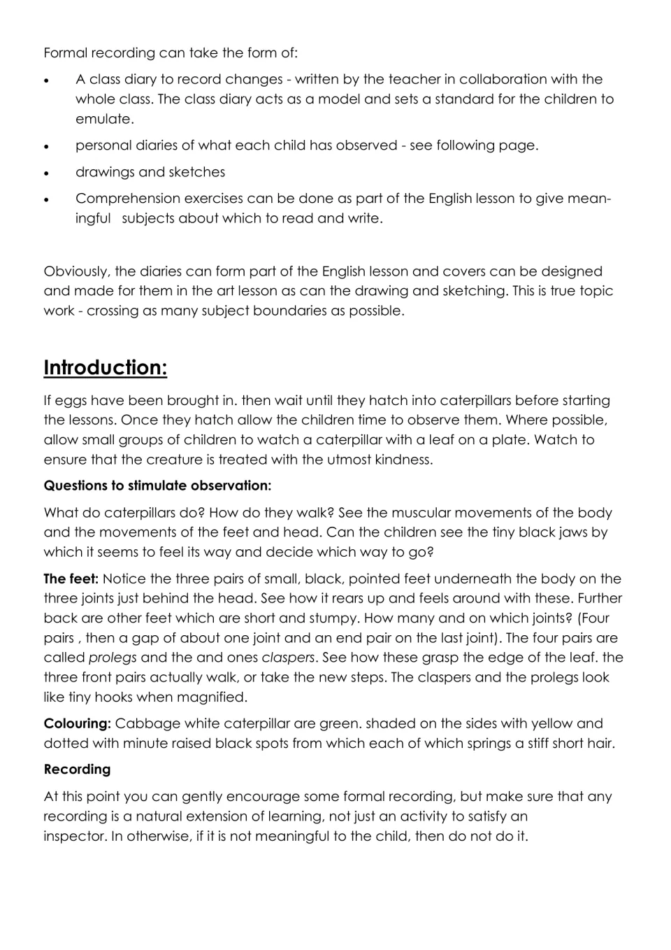 Caterpillar introduction: diary recording ideas and observation questions on how it walks, its feet and colouring