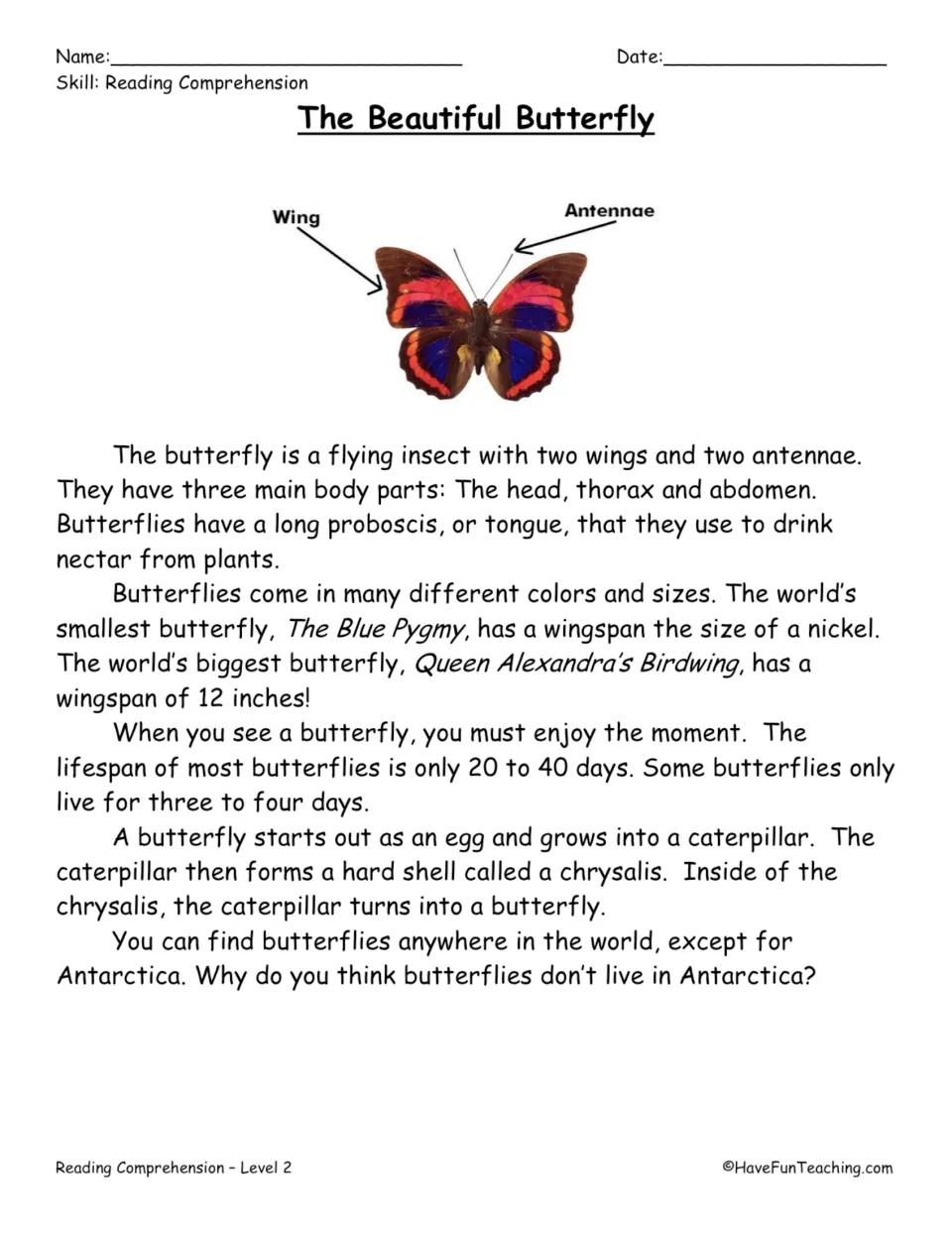 Reading passage about butterfly body parts, size, lifespan, and life cycle, with wing and antennae labels.