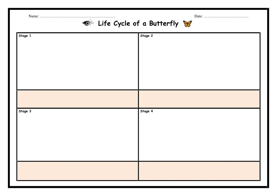 Life Cycle of a Butterfly: students draw and name each stage in order from Stage 1 to Stage 4, practising sequencing