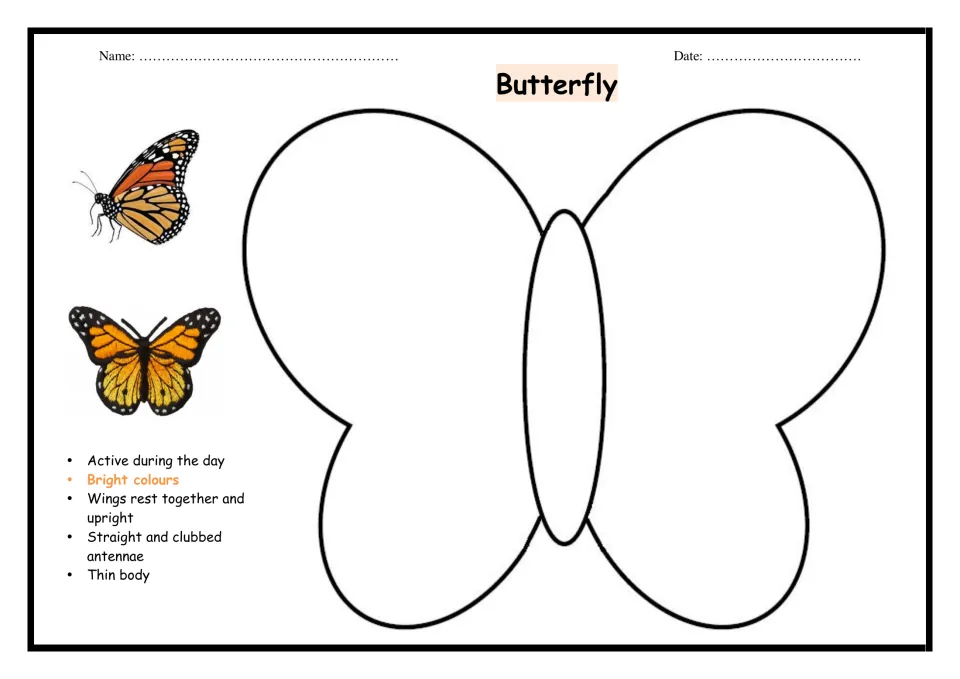 Butterfly features: active by day, bright colours, upright wings, clubbed antennae, thin body, beside a blank outline