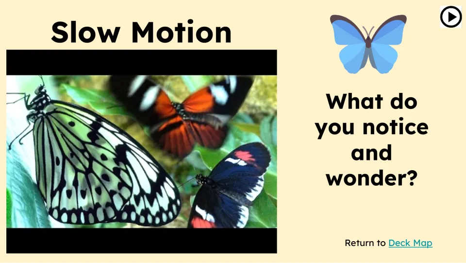 Slow-motion butterfly video slide asks students, 'What do you notice and wonder?' beside the video still