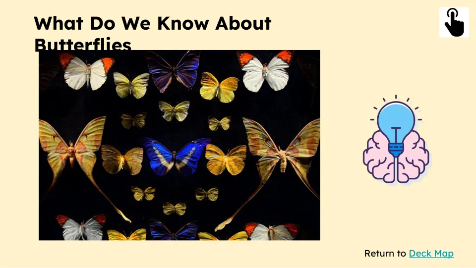 Prior-knowledge slide asks what students know about butterflies and shows specimens of different colors