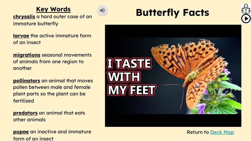 Vocabulary and video slide defines chrysalis, larvae, migrations, pollinators, predators, and pupae