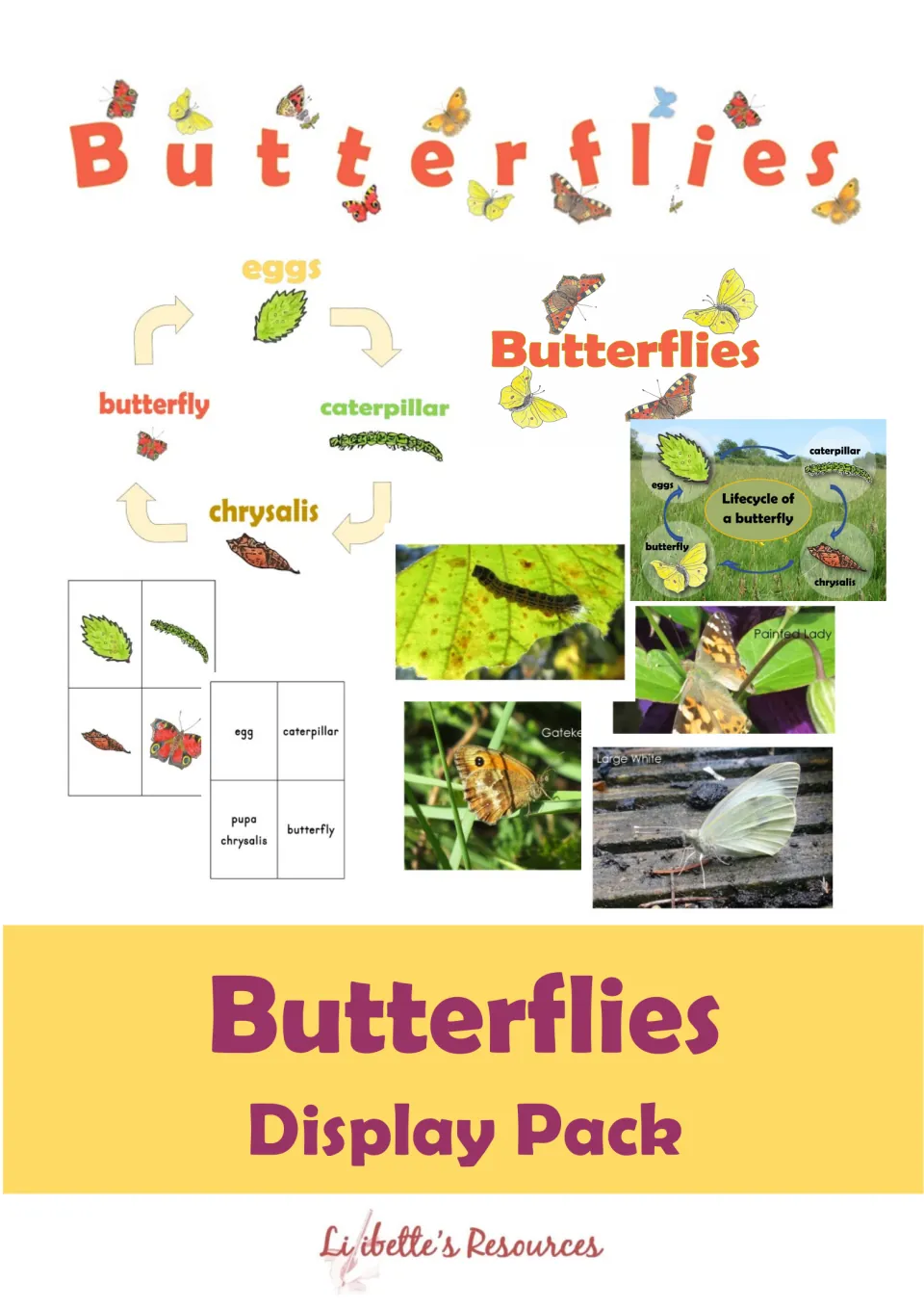 Butterflies Display Pack cover showing a life-cycle wheel, Butterflies banner, word and picture cards and butterfly photos