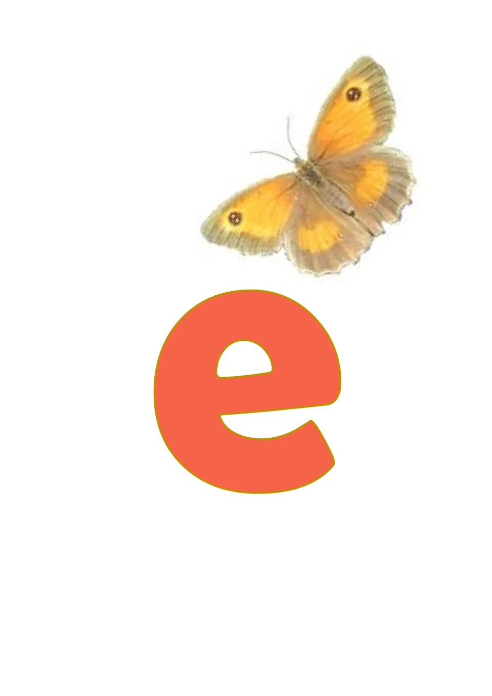 Banner cut-out piece: orange lowercase letter e with an orange and brown butterfly with small eye spots above it