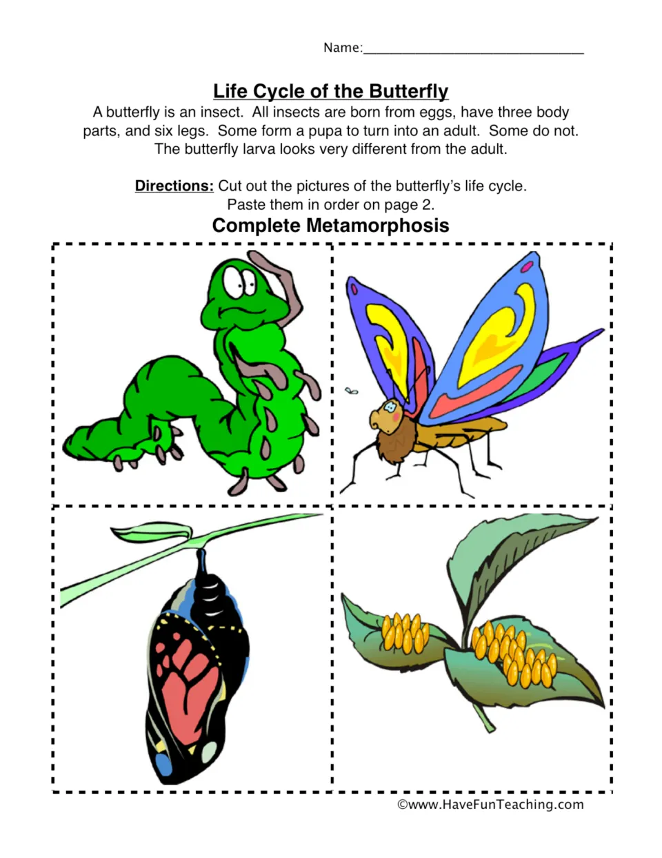 Cut-out pictures for sequencing the butterfly life cycle: caterpillar, adult butterfly, pupa, and eggs.