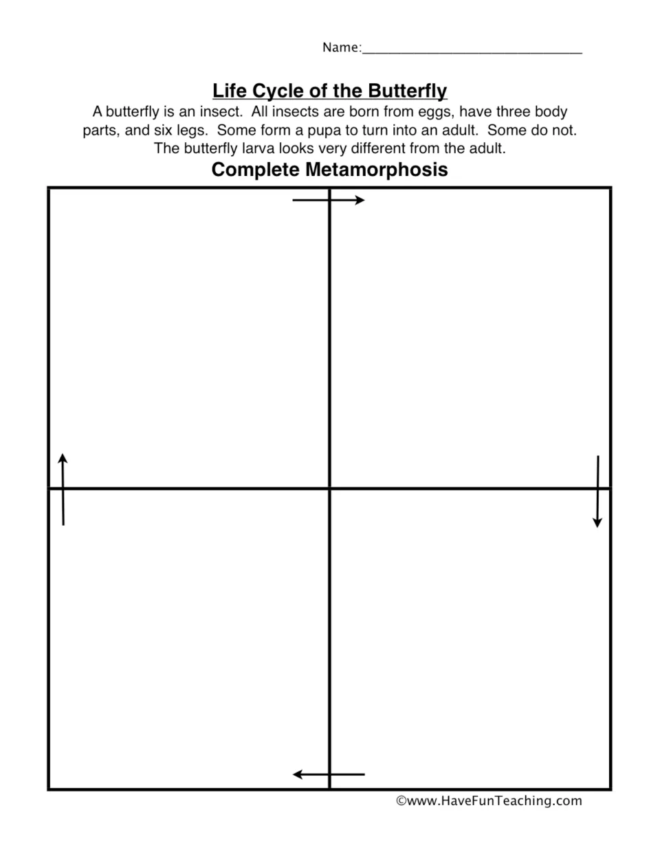 Butterfly life cycle pasting page for arranging the four cut-out pictures in order to show metamorphosis.