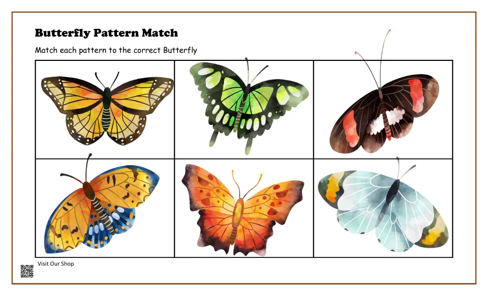Butterfly matching board 2: students match wing patterns to six butterflies, including orange, green, red and pale blue
