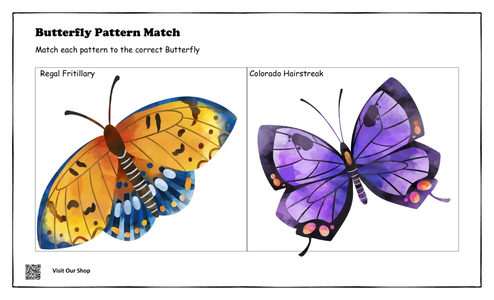 Wing pattern matching mat: students match wing patterns to the Regal Fritillary and Colorado Hairstreak butterflies