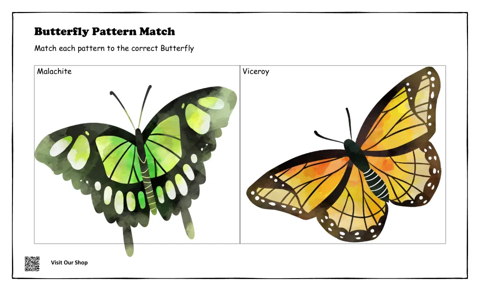 Butterfly matching mat showing a green Malachite and an orange Viceroy for students to match with their wing patterns