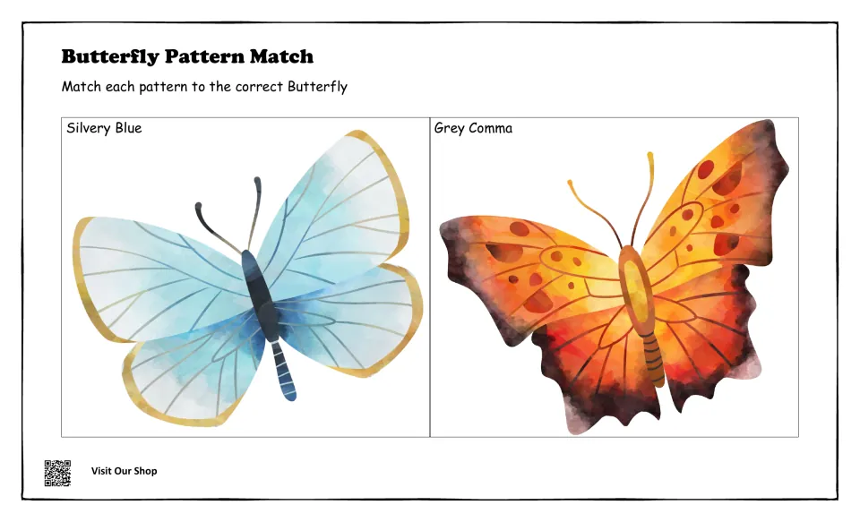 Butterfly matching mat with a pale Silvery Blue and a speckled orange Grey Comma; students place the matching wing pattern