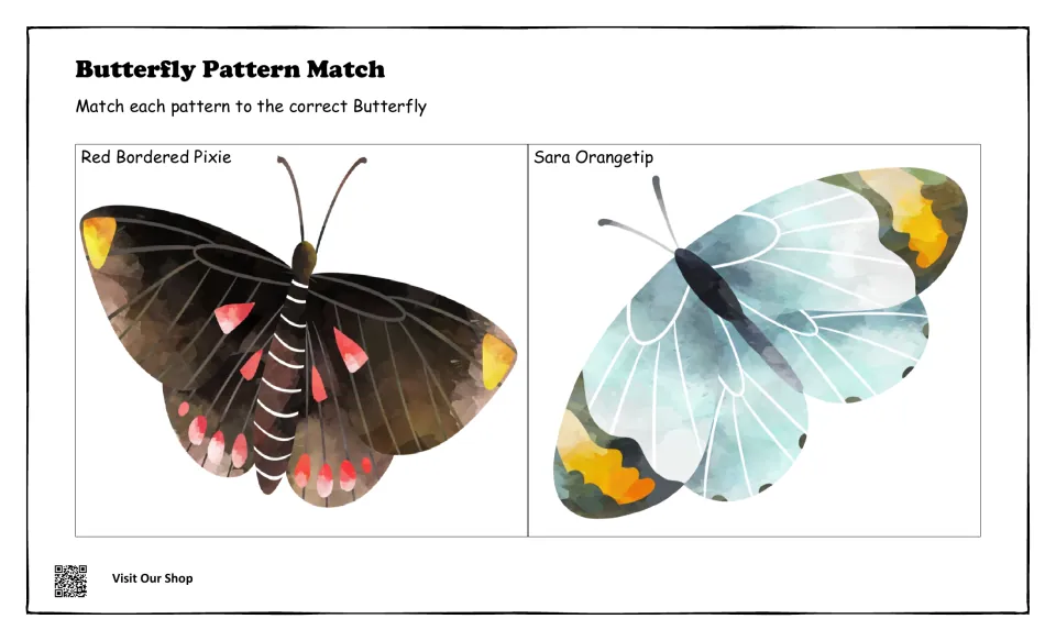 Butterfly matching mat with the dark Red Bordered Pixie and the pale Sara Orangetip; students find each wing pattern