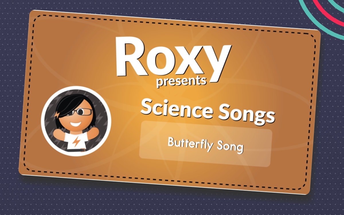Butterfly Song (MP3) preview