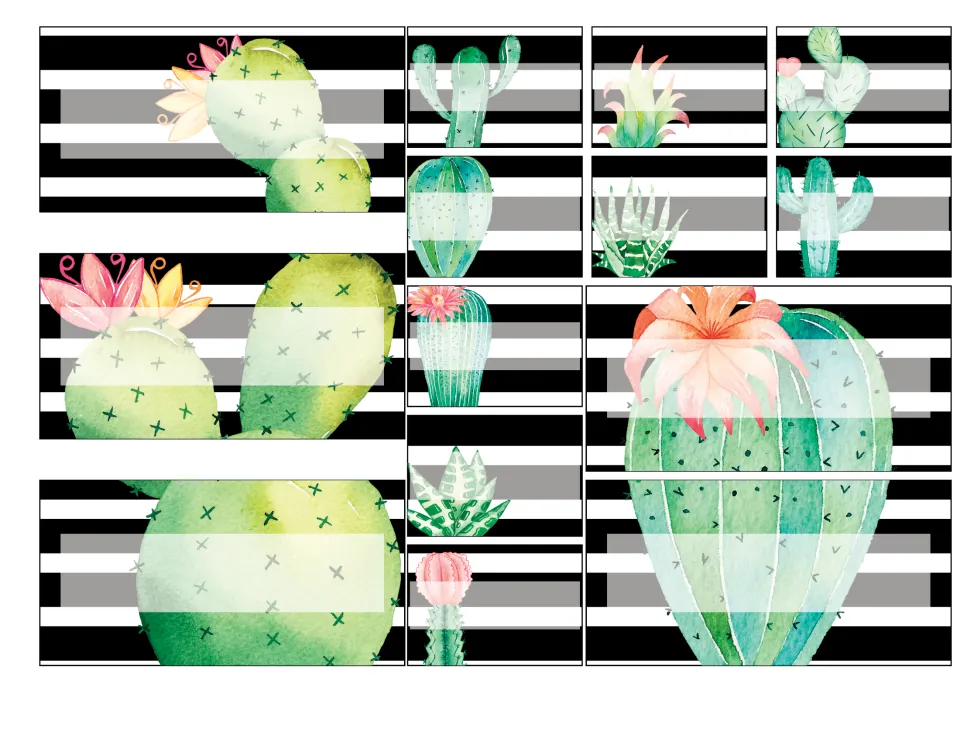 Blank cactus drawer labels on black and white stripes, part one; large prickly pear and barrel cactus span drawers