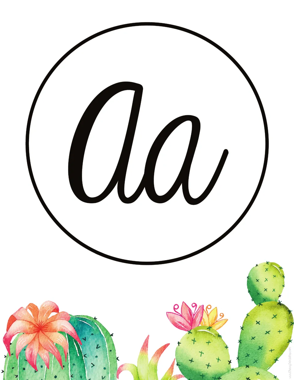 Letter A poster: uppercase and lowercase cursive Aa in black for letter recognition, above watercolor cacti in bloom