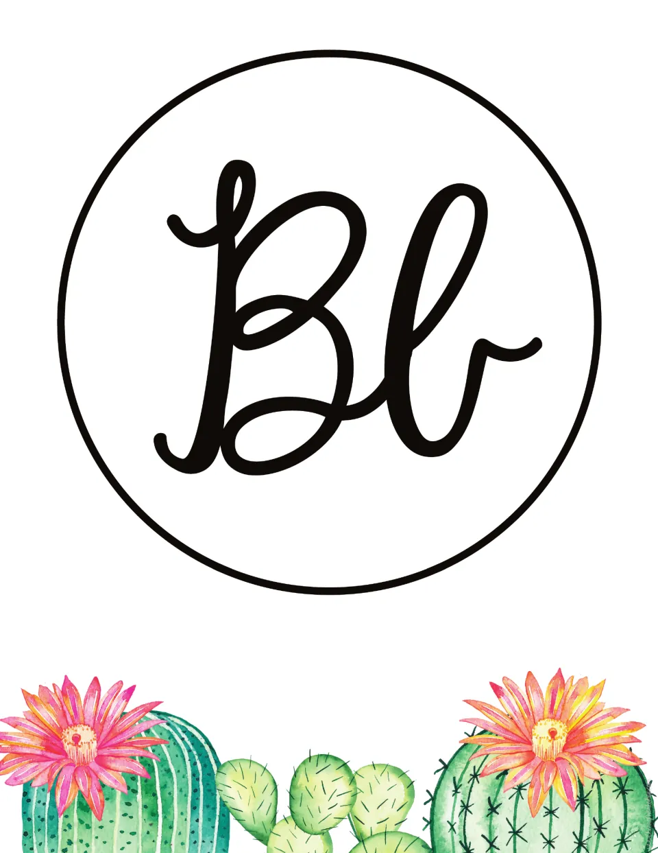 Letter B poster: black cursive capital B and lowercase b for letter recognition, over flowering barrel cacti