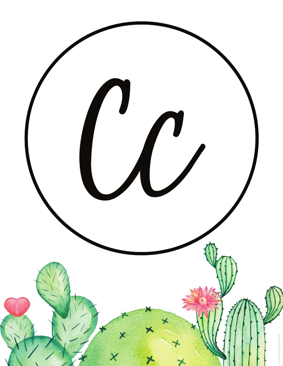 Letter C poster: black cursive Cc pairing the capital and lowercase forms for letter recognition, above desert cacti